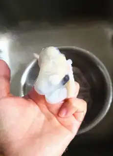Make Roasted squid step 0