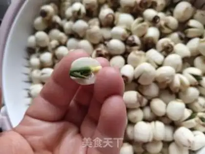 Make Lotus step 1