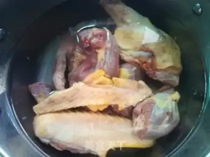 Make Pond duck step 0