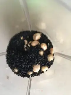 Make Chicken noodle step 0