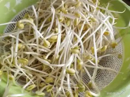 Make Frozen sprouts step 1