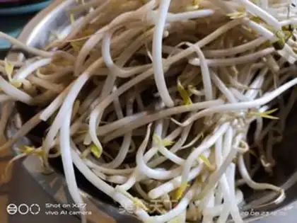 Make Frozen sprouts of mushrooms step 0