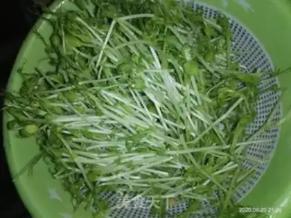 Make Spicy pea seed step 0