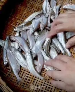 Make Drink the fish step 1