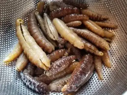 Make Sea cucumber step 2