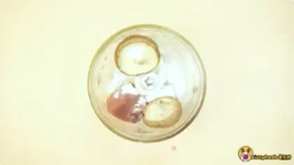 Make A edible porkball step 4