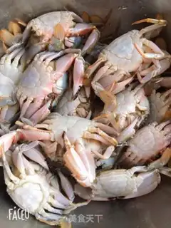 Make Crabs step 0