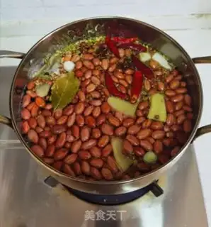 Make Phalogen step 4