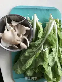 Make Punctulls step 0