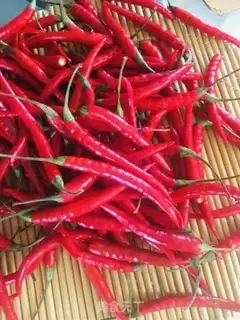 Make Cut the chili step 1