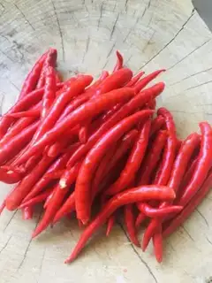 Make Cut the chili step 2