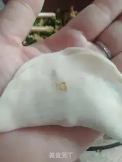 Make Plumbing dumplings step 8