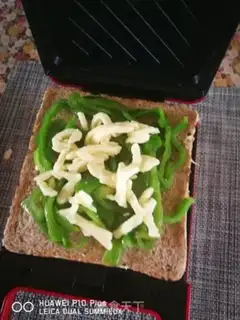 Make Whole wheat sandwich step 19