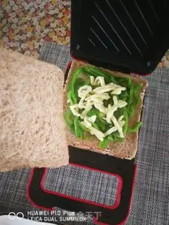 Make Whole wheat sandwich step 20