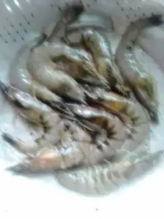 Make Shrimp step 2