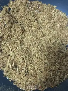 Make Chicken pine step 6
