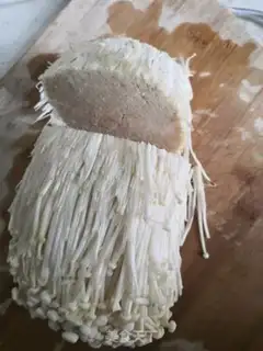 Make Tinpaper and gin mushrooms step 0