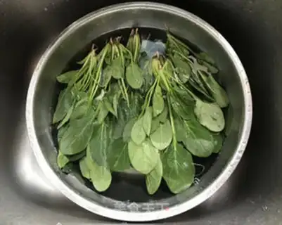 Make A spinach fan step 1