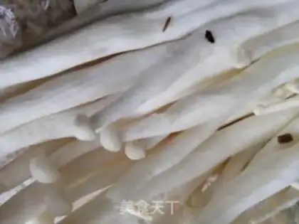 Make Spilling sea mushrooms step 0