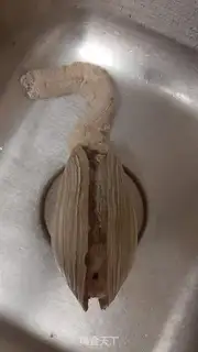 Make The ivory prick step 1