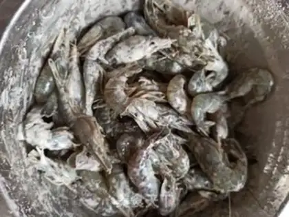Make Shrimp step 5