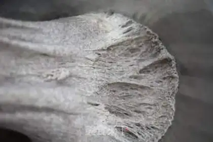 Make Brown barley step 2