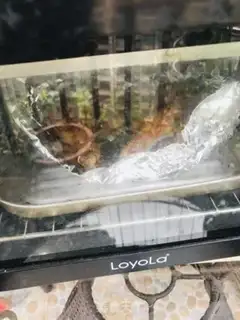 Make Roasted chicken legs with sauce step 7
