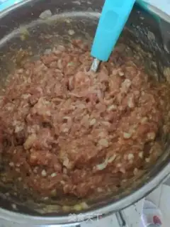 Make Pork dumplings step 5