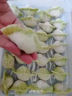 Make Pork dumplings step 12