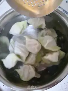 Make Pork dumplings step 14