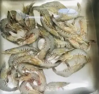 Make Nine knots of shrimp step 0
