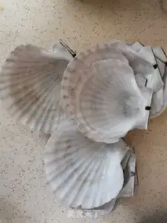 Make A fan fan step 1