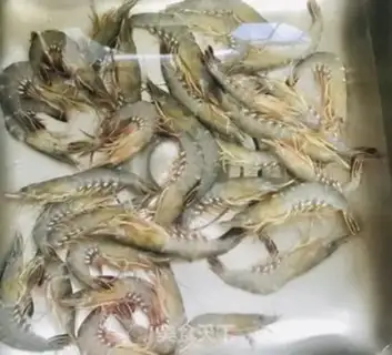 Make Shrimp step 0
