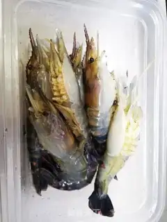 Make Juice, shrimp step 0