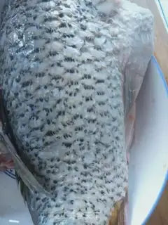 Make Red fish step 0