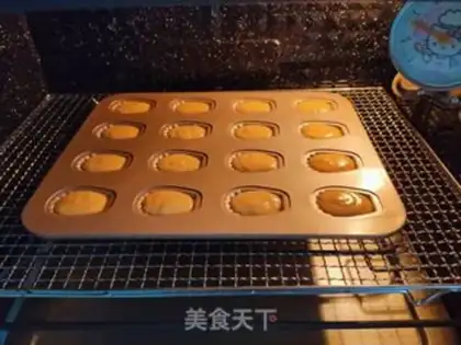 Make Madeleine step 11
