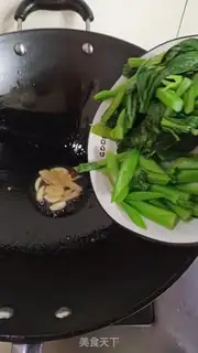 Make Scorch step 5