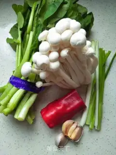 Make ♪ White maggot ♪ step 0