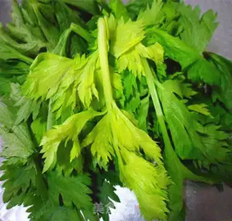 Make Celery tacos step 0