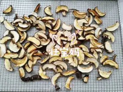 Make Homemade mushroom powder step 4