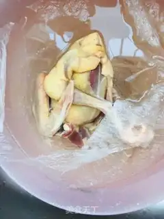 Make Abalone pigeon step 1
