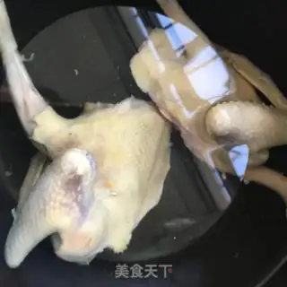 Make Abalone pigeon step 5