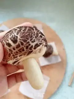 Make Simulating mushrooms step 12
