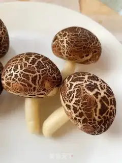 Make Simulating mushrooms step 13