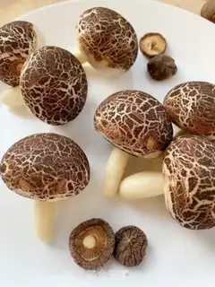 Make Simulating mushrooms step 14