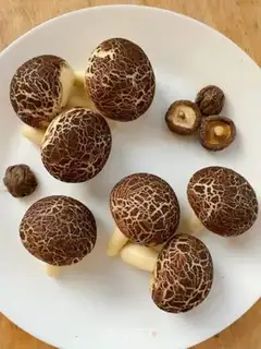 Make Simulating mushrooms step 15