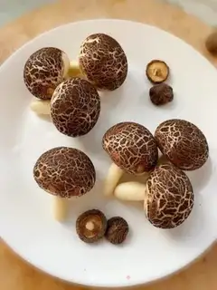 Make Simulating mushrooms step 16