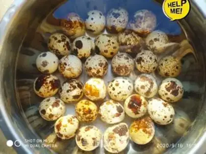 Make Five quail eggs step 0