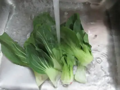 Make The green bouquet step 1