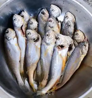 Make Vacuated yellowfish step 0